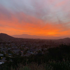 Meet your Posher, Damien